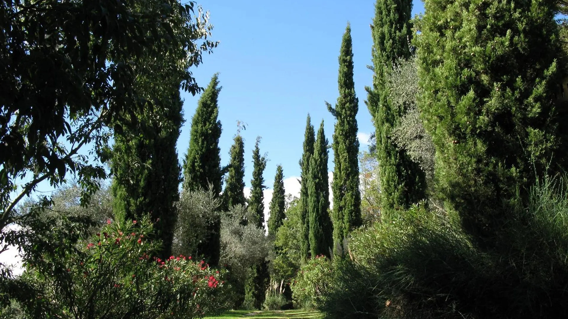 Can Serola Sales de Llierca Spain